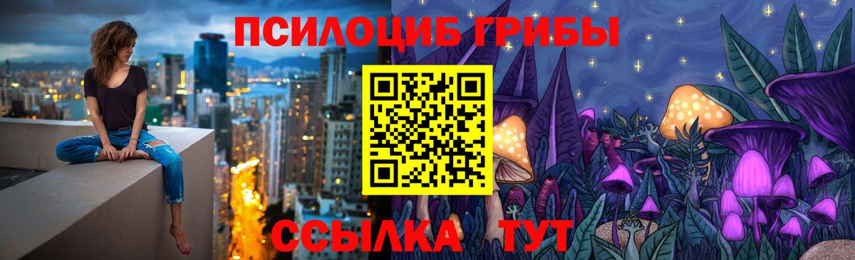 Железногорск  Псилоцибиновые грибы Cubensis  Галлюциногенные грибы MAGIC MUSHROOMS  Вход с VPN 